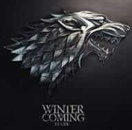 Agence wordpress moussastark